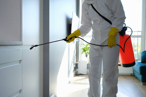 Best Mold Remediation for Schools in Takoma Park, MD